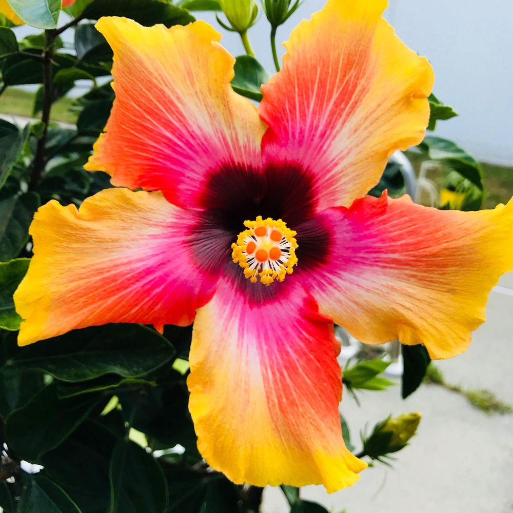 Meet your Posher, Jenn